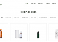 Ηλεκτρονικό Κατάστημα 11